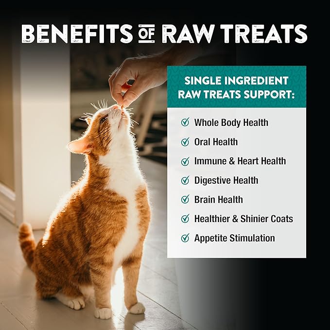 Northwest Naturals Raw Rewards Freeze-Dried Chicken Heart Treats for Dogs and Cats - Bite-Sized Pieces - Healthy, 1 Ingredient, Human Grade Pet Ingredients, Natural, Made in USA, 10 Oz (Pack of 3)