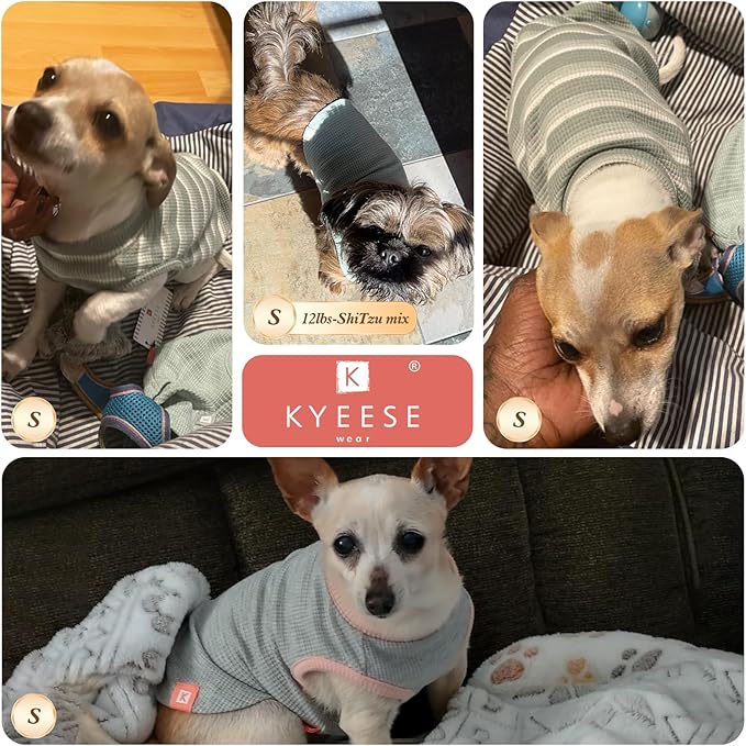 KYEESE 2Pack Dog Shirts Waffle for Small Dogs Stretchy T-Shirts Lightweight Tank Top Sleeveless Vest Breathable Cat Tee, Small, Blue+Grey