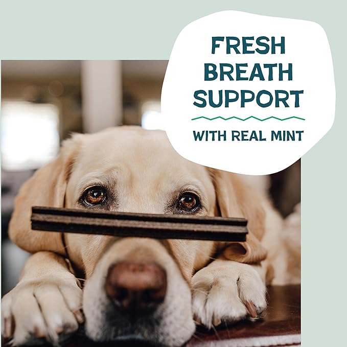 Shameless Pets Dental Treats for Dogs, A Cluck A Day - with Digestive Support for Teeth Cleaning & Fresh Breath - Dog Bones Dental Chews Free from Grain, Corn & Soy