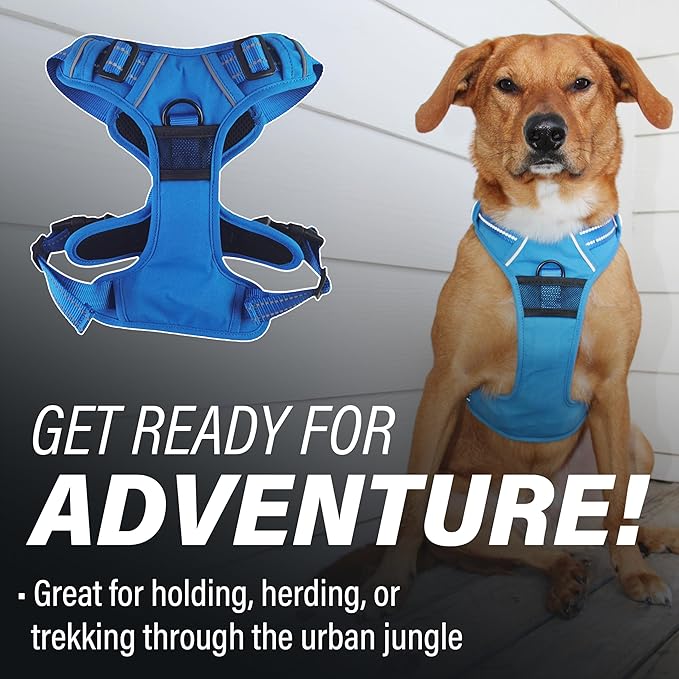 Doggie Design Venture Paw No Pull Dog Harness - Simple Adjustable Puppy Harness - Anti Pull Dog Collar for Walks and Outdoor Adventures - Mountain Lake, L