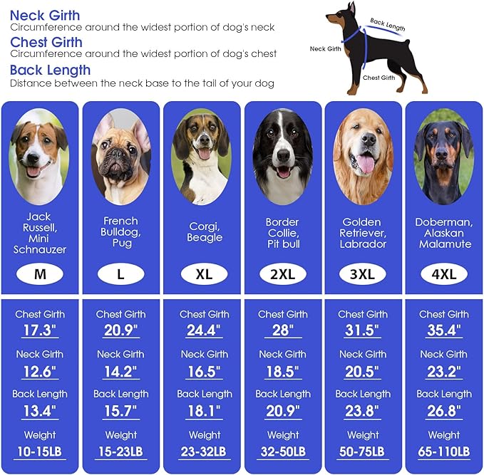 ASENKU XXL Dog Sweater for Extra Large Dogs,Pet Sweatshirt Apparel Turtleneck Pullover Winter Dog Outfits for Pitbull, Labrador Retriever(Royal Blue, 2XL)