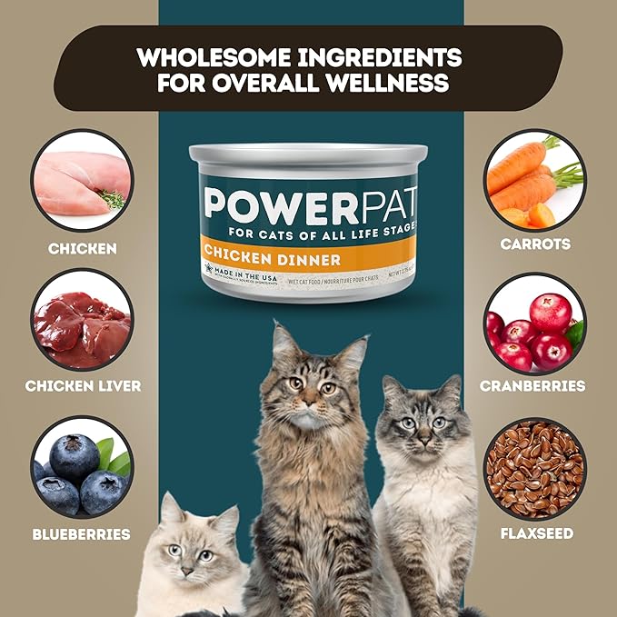 Only Natural Pet PowerPate Grain-Free Chicken Dinner Wet Cat Food - Holistic, High Protein w/Chicken & Broth - Balanced Nutrition for Kitten & Cats of All Life Stages, 2.75 oz Cans, Case of 12 (C)