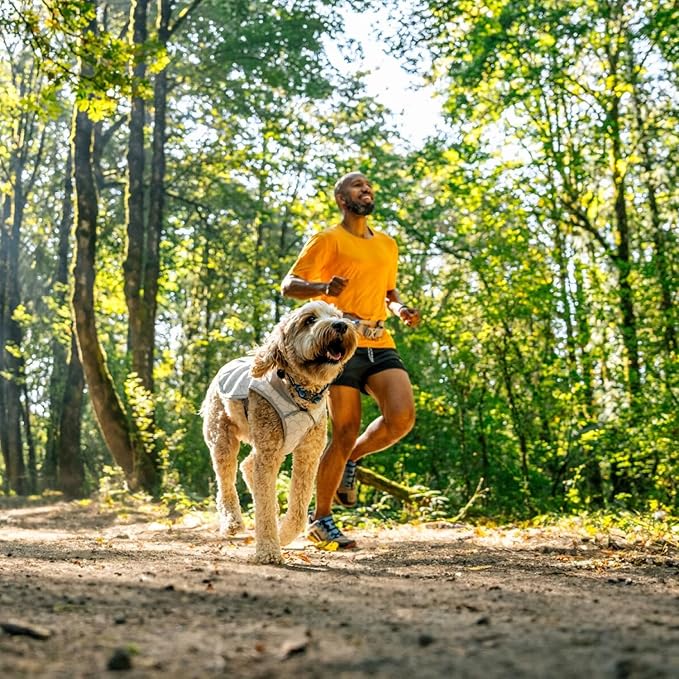 Ruffwear, Swamp Cooler Dog Vest, Evaporative Cooling for Hot Weather, Compatible with Most Harnesses, Biolumin Blue, Small
