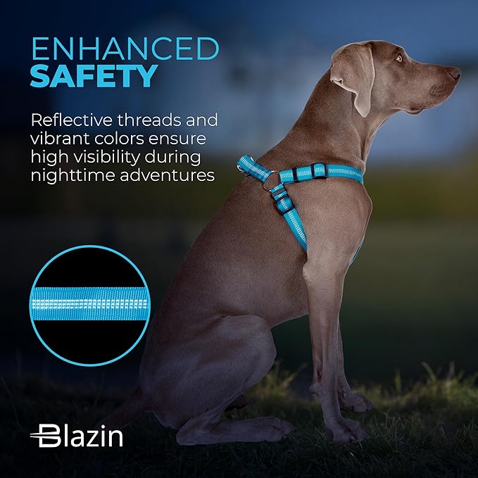 BLAZIN No Pull Dog Harness - Adjustable Step-in Reflective Nylon Vest Harness - Neoprene Padded for Extra Comfort (X-Small, Blue)