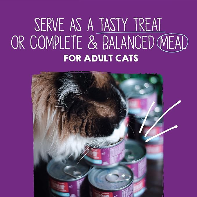 Stella & Chewy's Carnivore Cravings Purrfect Paté - Premium Grain-Free Wet Cat Food - 6 Flavor Variety Pack - High Protein with Bone Broth - Perfect for Picky Eaters - 2.8oz Cans (12 Pack)