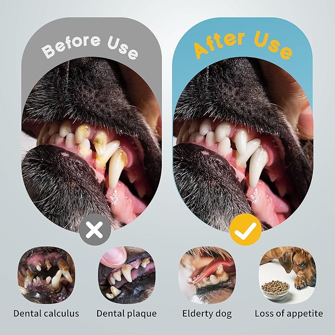 Puppy Tooth Brushing Kit for Dog Teeth Cleaning, 3-in-1 Dog Toothbrush Kit, Electric Toothbrush with Water Flosser, IPX7, 1100mAh Battery(Black)