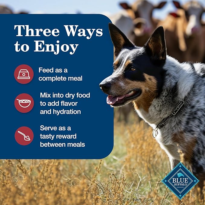 Blue Buffalo Homestyle Recipe Adult Wet Dog Food, Made with Natural Ingredients, Beef Dinner With Garden Vegetables, 12.5-oz Cans (12 Count)