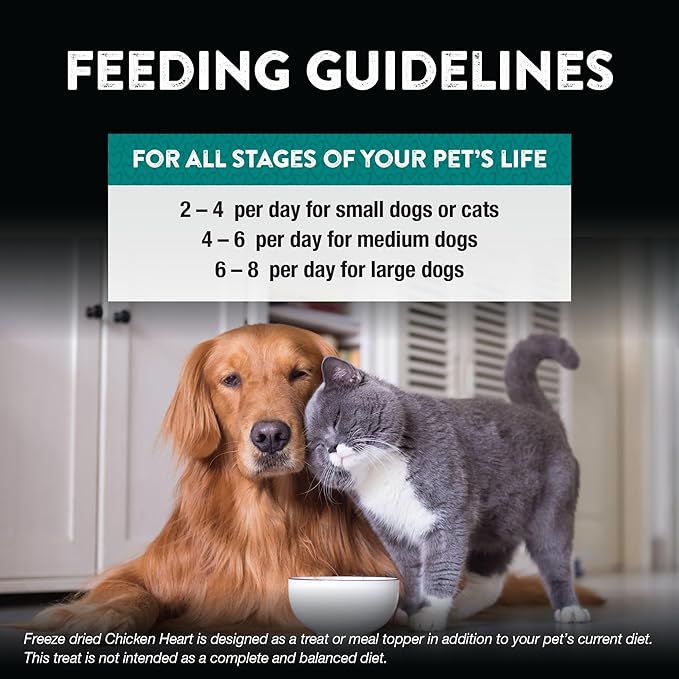 Northwest Naturals Raw Rewards Freeze-Dried Chicken Heart Treats for Dogs and Cats - Bite-Sized Pieces - Healthy, 1 Ingredient, Human Grade Ingredients, Natural, Proudly Made in USA, 3 Oz (Pack of 3)