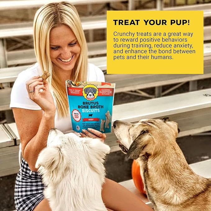 Brutus Bone Broth Biscuits (Beef) - Healthy Treats - Natural Dog Biscuits with Bone Broth and Real Beef for Healthy Joints - 18 Grams of Protein - 8 OZ (Pack of 6)