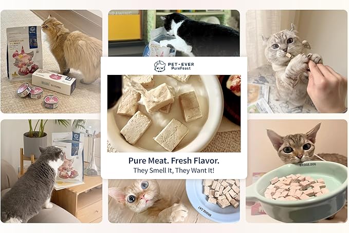 Freeze-Dried Cat Food, High Protein Healthy Freeze Dried Cat Treat & Topper (Poultry Recipe - 0.7 Ounce)