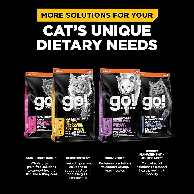Go! Solutions Digestion + Gut Health, Dry Cat Food, Salmon Recipe with Ancient Grains, 3 lb Bag
