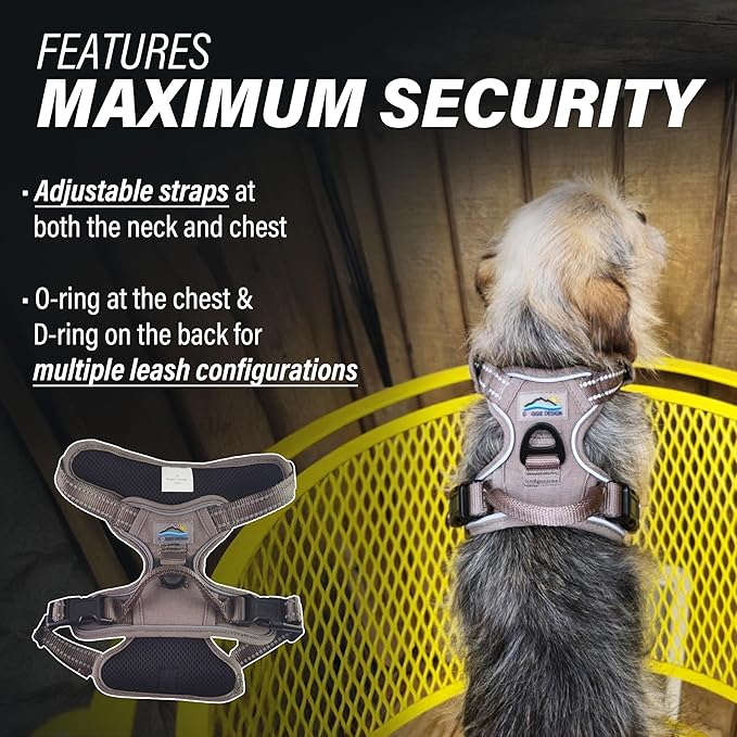 Doggie Design Venture Paw No Pull Dog Harness - Simple Adjustable Puppy Harness - Anti Pull Dog Collar for Walks and Outdoor Adventures - Dried Sage, S