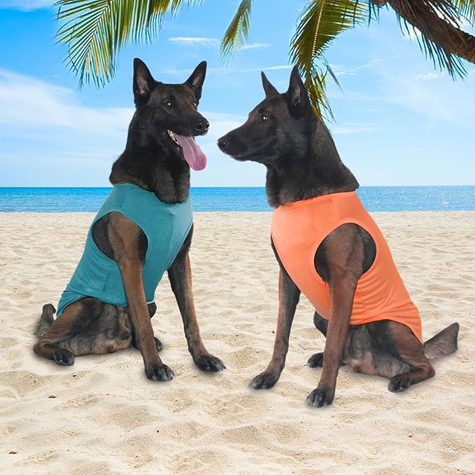 2 Pack Dog Shirts, Ice Pet Vest Dog Clothes for Instant Cooling, Lightweight Breathable Sleeveless T-Shirts for Large Dogs, Peacock Blue+OrangeRed (M)
