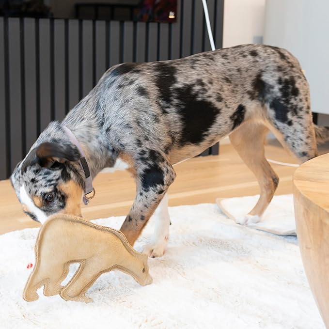 SPOT Dura-Fused Leather Bear Dog Toy – Durable Real Leather & Jute Chew Toy with Squeaker, Double-Stitched for Moderate Chewers, Medium & Large Dogs, 11.5in