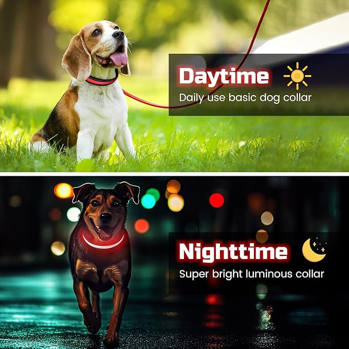 Light Up Dog Collar Rechargeable, LED Glow Collar in Dark with 3 Flash Mode for Outdoor Night Walking Visible Safe, Adjustable Waterproof Dog Light for Small Medium Large Breed, Red, M