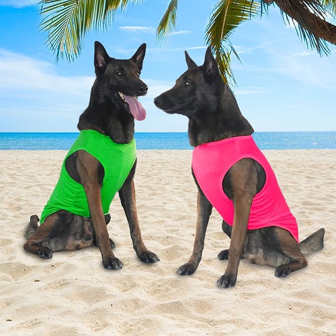 2 Pack Dog Cooling Shirts, Ice Pet Vest Dog Clothes for Instant Cooling, Lightweight Breathable Sleeveless T-Shirts for Large Dogs, Bright red+Fresh Green (M)