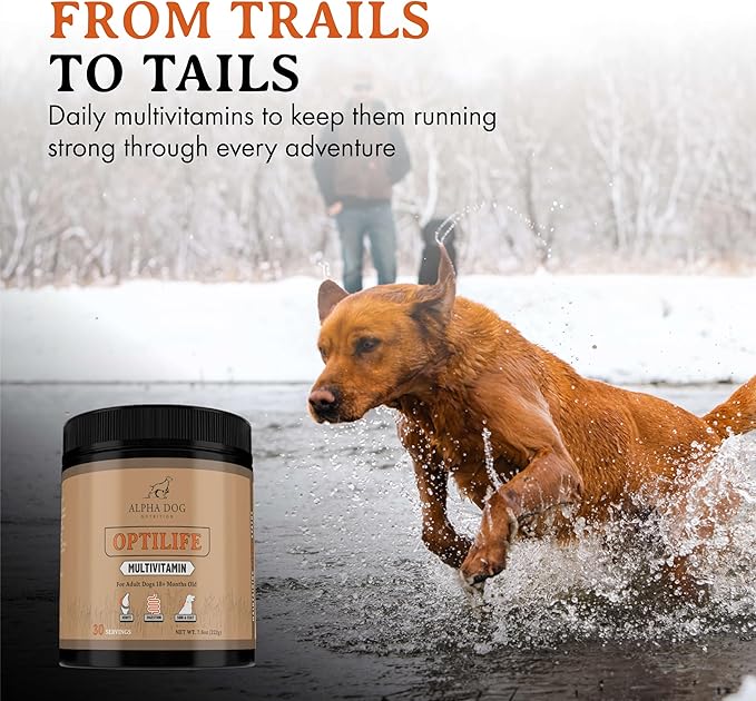 OptiLife Dog Multivitamin Powder - Adult Dog Multivitamin with Probiotics, Allergy Support, Joint Support, Skin & Coat Support - Dog Vitamins and Supplements - Multivitamin for Dogs (30 Servings)