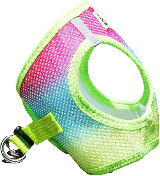 Doggie Design No Choke Dog Harness - Simple Step-in and Go Dog Vest for Small, Medium, and Large Breeds - Breathable Mesh Polyester Pet Harness - Rainbow - XXS