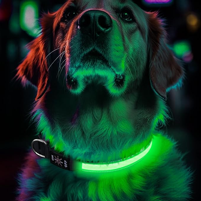 Light Up Dog Collar Rechargeable, LED Glow Collar in Dark with 3 Flash Mode for Outdoor Night Walking Visible Safe, Adjustable Waterproof Dog Light for Small Medium Large Breed, Green, M