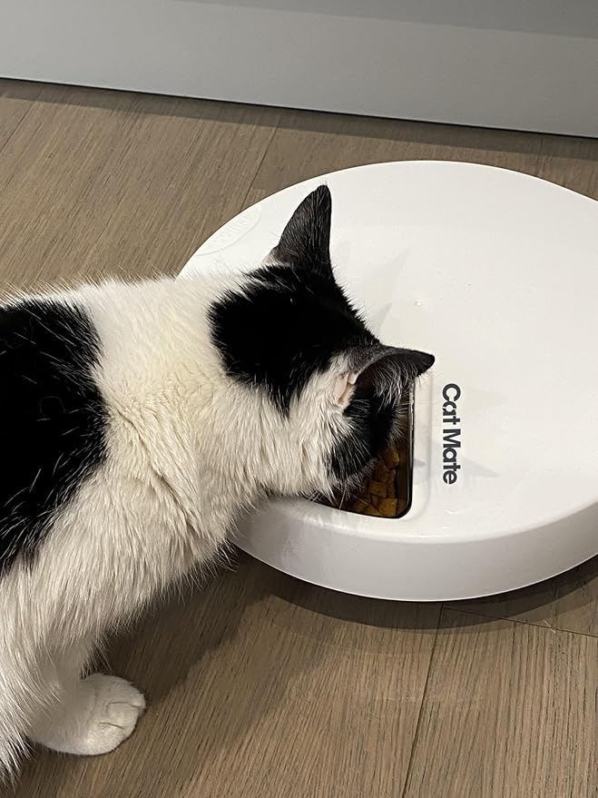 Cat Mate C500 - 5 Meal Digital Automatic Feeder with Ice Packs for Cats and Small Dogs