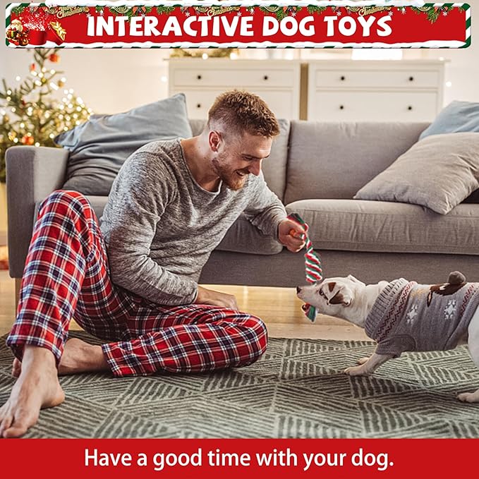 SCENEREAL Christmas Dog Rope Toys, 4pcs Doggy Chew Toys with Stocking for Teething Cleaning, Squeaky Plush Puppy Toy, Interactive Dog Stocking Stuffers, Xmas Gifts for Small Medium Large Dogs