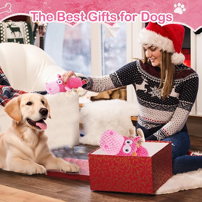 Dog Squeak Toys, Rope for Large Dogs and Medium Aggressive Chewers, Puppy Teething Interactive, Indestructible Dog Toy to Keep Them Busy Best Birthday Gift(Hippo)