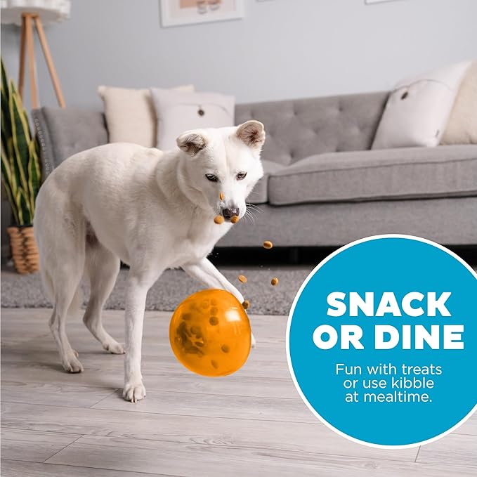 Outward Hound Large Snoop Interactive Treat Dispensing Dog Toy, Puzzle Ball Slow Feeder for Medium to Large Dogs, Mint-Scented for Mental Stimulation & Boredom Relief, BPA-Free, 5-Inch, Orange