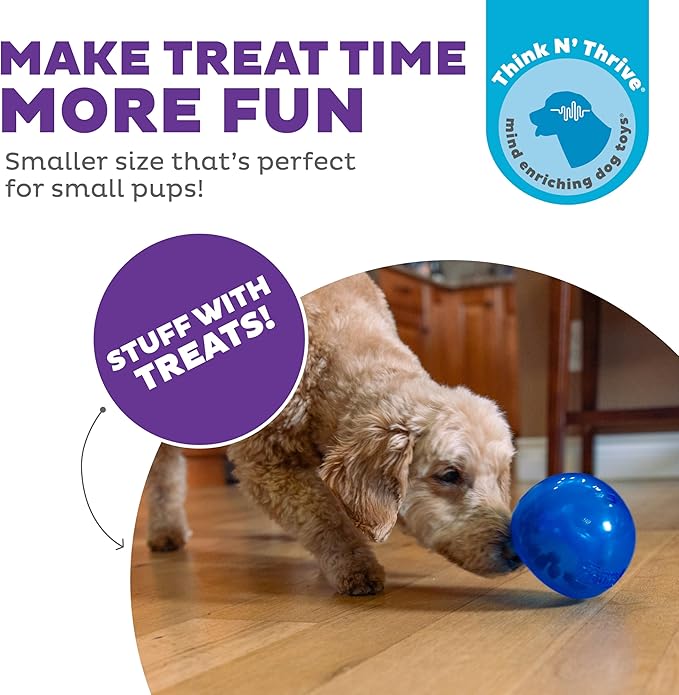 Outward Hound Lil' Snoop Interactive Treat Dispensing Dog Toy, Puzzle Ball Slow Feeder for Small to Medium Dogs, Mint-Scented for Mental Stimulation & Boredom Relief, BPA-Free, 3.9-Inch, Blue