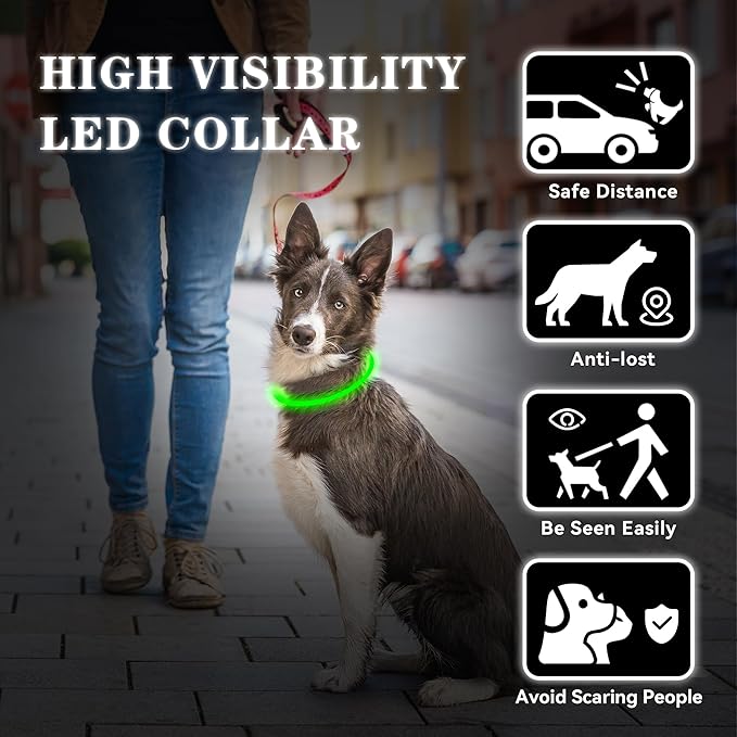 Led Light Up Dog Collar Rechargeable Waterproof, Glow in Dark Dog Collar, TPU Cuttable Lighted Dog Collars for Night Walking Charging USB, Safety for Small Medium Large Dogs Green