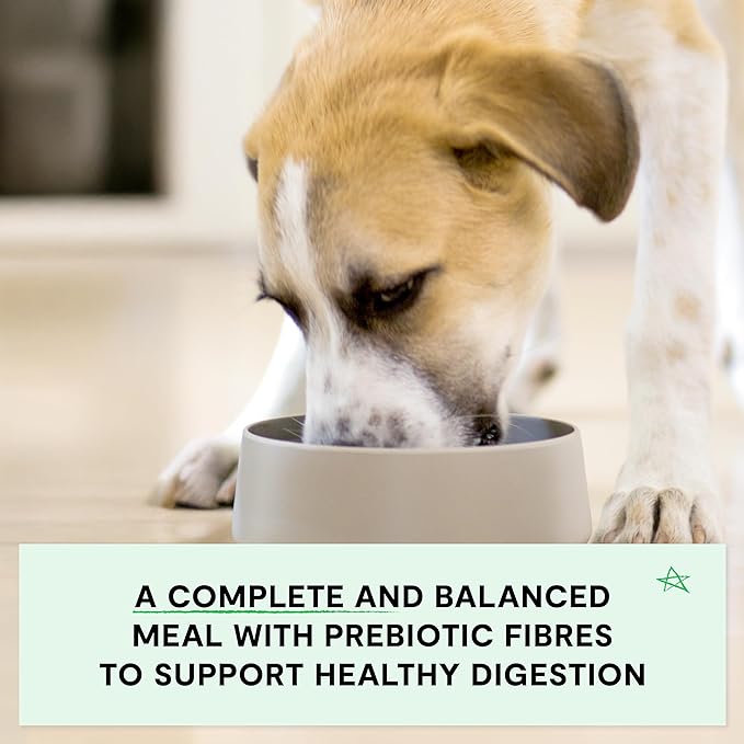 Open Farm, Grain-Free Dry Dog Food for Puppies, Protein-Packed Kibble, Sustainably & Ethically Sourced Ingredients, Non-GMO Veggies & Superfoods, Chicken & Salmon Puppy Recipe, 22lb Bag