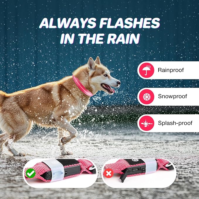 RUXAN Light Up Dog Collar,Dog Lights for Night Walking,LED Collars Waterproof,Glow Dog Collars Rechargeable,Glow in The Dark Dog Collar,Dog Collars Light for Small,Medium,Large Dogs (Small,Pink)