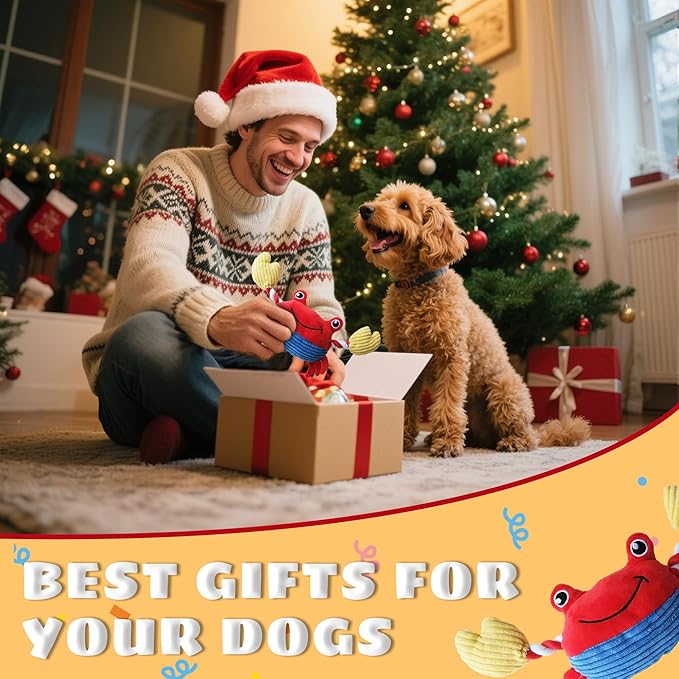 Squeak Plush Dog Toys for Small & Medium Breeds, Chew Resistant Rope to Keep Them Busy for Puppy Teething Chewing, Interactive Indoor/Outdoor Play, Best Pet Gift, Crab