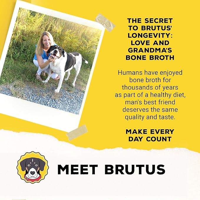 Brutus Bone Broth Biscuits (Beef) - Healthy Treats - Natural Dog Biscuits with Bone Broth and Real Beef for Healthy Joints - 18 Grams of Protein - 8 OZ (Pack of 6)