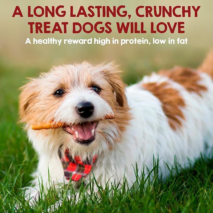 Riley's Chicken Wrapped Beef Sticks - Made with USA Sourced Dehydrated Chicken Breast & Beef Hide - Dog Snacks for Small Dogs and All Natural Chew Sticks - 21 Small Twists