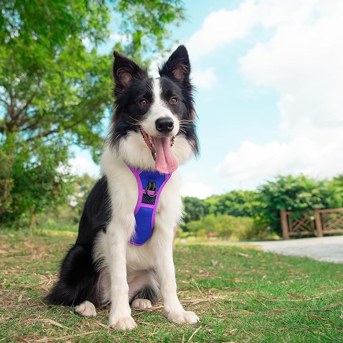 PHOEPET 2019 Upgraded No Pull Dog Harness, Reflective Adjustable Vest, with a Training Handle + 2 Metal Leash Hooks+ 3 Snap Buckles +4 Slide Buckles(M, Royal Blue)