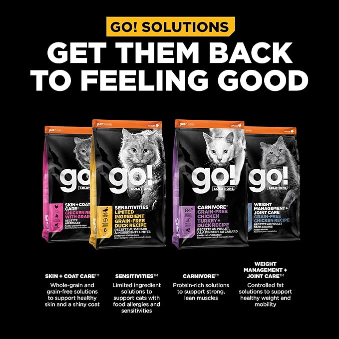 Go! Solutions Digestion + Gut Health, Dry Cat Food, Chicken Recipe with Ancient Grains, 6 lb Bag