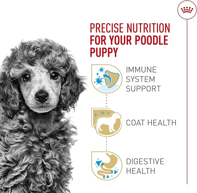 Royal Canin Breed Health Nutrition Poodle Puppy Dry Dog Food, 2.5 lb Bag