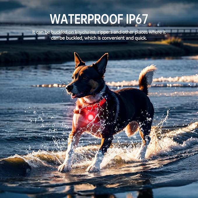 2 Pack LED Dog Collar Light, Rechargeable Dog Lights for Night Walking, 3 Modes, IP68 Waterproof Pet Walking Accessories