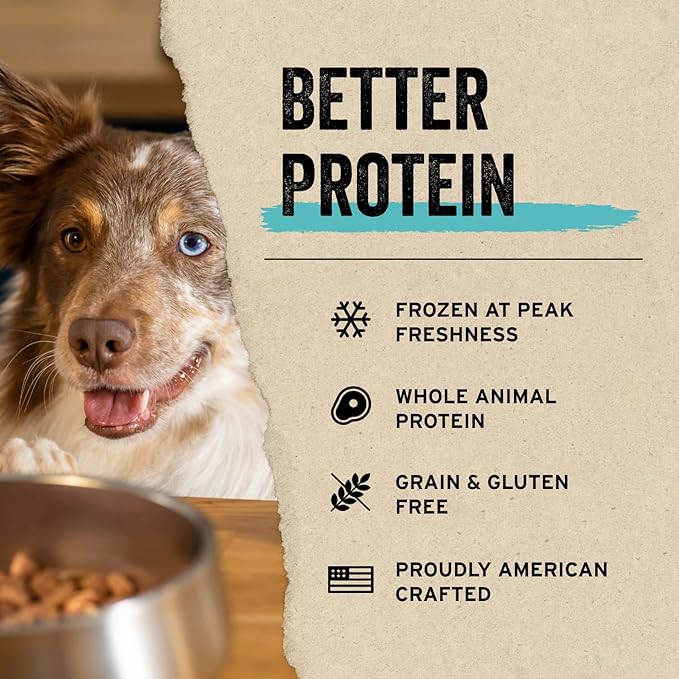 Vital Essentials Chicken Breast Dog Treats, 10 oz | Freeze-Dried Raw | Single Ingredient | Premium Quality High Protein Training Treats | Grain Free, Gluten Free, Filler Free