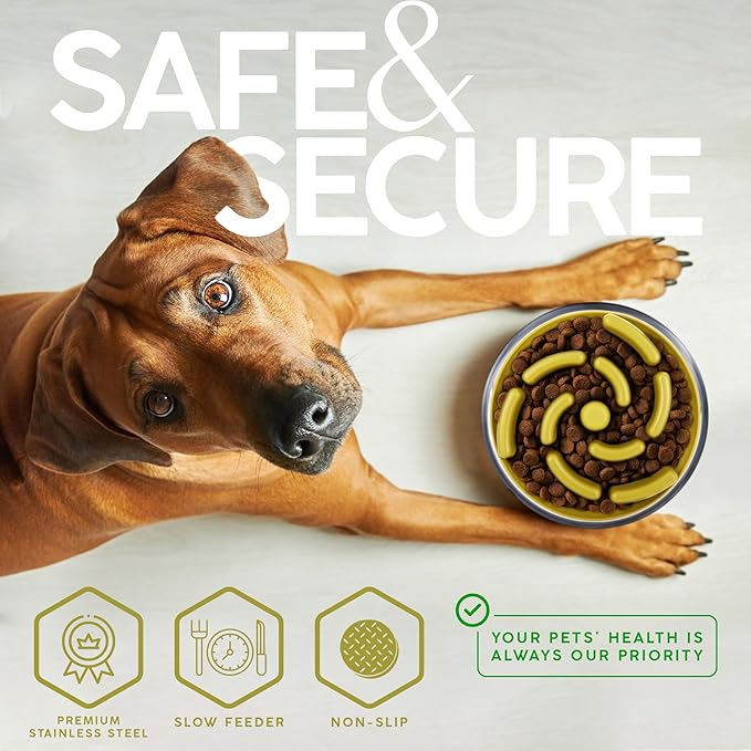 32 Oz Dog Bowl with Slow Feeder Insert Stainless Steel Pet Water Bowl for Medium & Large Breed Non Slip Rubber Base & Plastic Puzzle Feeder - Yellow