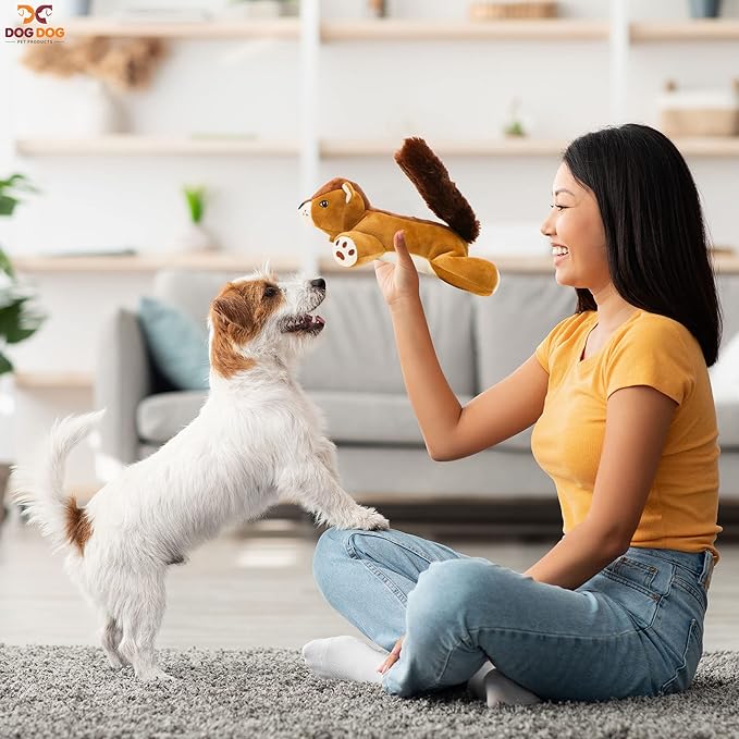 Dog Dog Big Fat Squirrel Plush Chew Toy Stuffed Animal with Squeaker and Smooth Fur and Durable Fabric with Fluffy Tail Surprised Look for Dogs, Kids and Animals