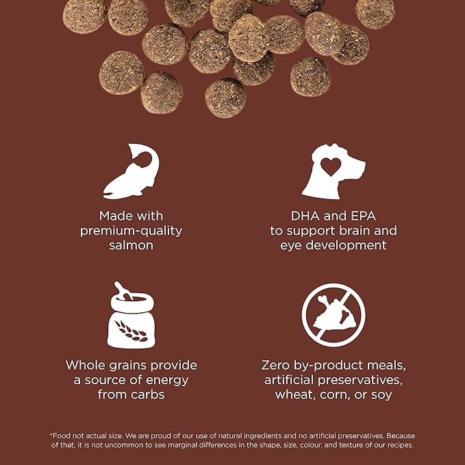 Go! Solutions Skin + Coat Care, Dry Dog Food, Large Breed Puppy Salmon Recipe with Grains, 12 lb Bag