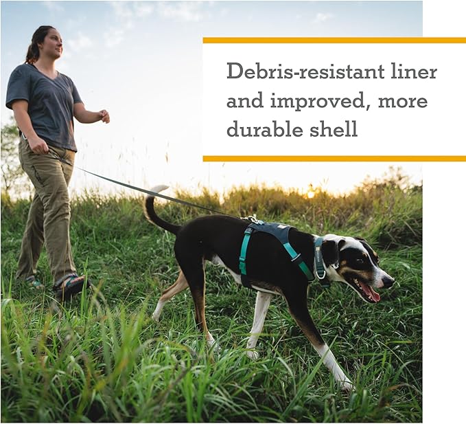 Ruffwear, Hi & Light, Everyday Lightweight Dog Harness, Trail Running, Walking, Hiking, All-Day Wear, Basalt Gray, XX-Small
