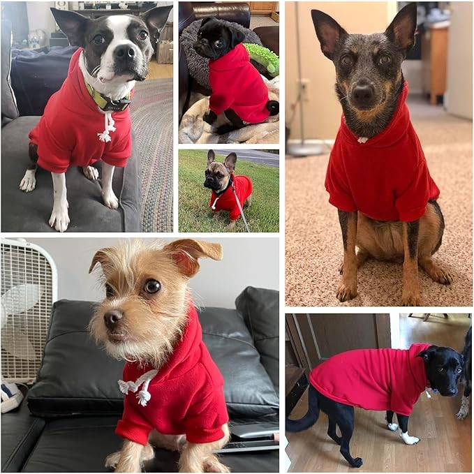 BINGPET Dog Hoodie, Fleece Lined Fall Cold Winter Soft Warm Puppy Sweatshirt with Leash Hole, Dog Sweaters Outfit,Pullover Happy Hoodie for Small Medium Large Dogs Cats