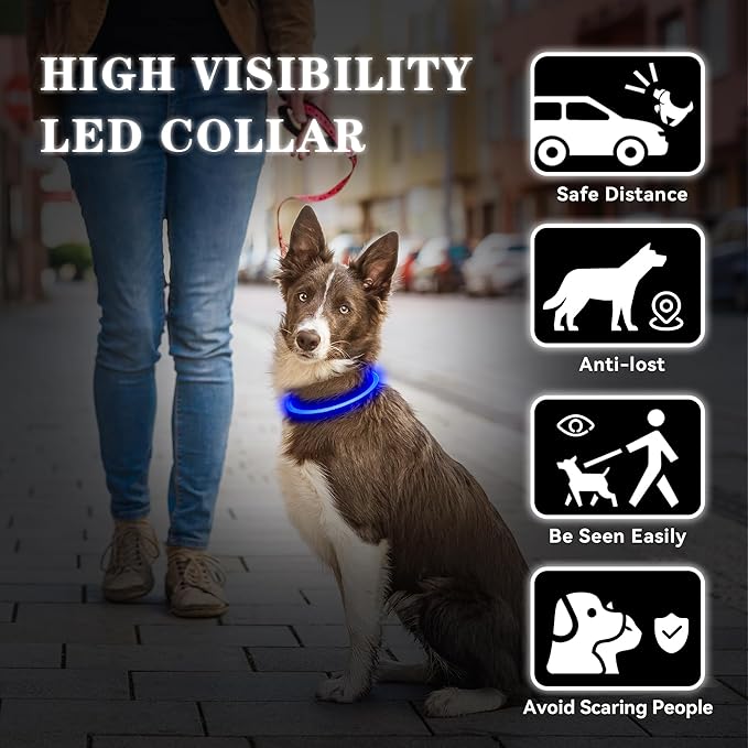 Led Light Up Dog Collar Rechargeable Waterproof, Glow in Dark Dog Collar, TPU Cuttable Lighted Dog Collars for Night Walking Charging USB, Safety for Small Medium Large Dogs Blue