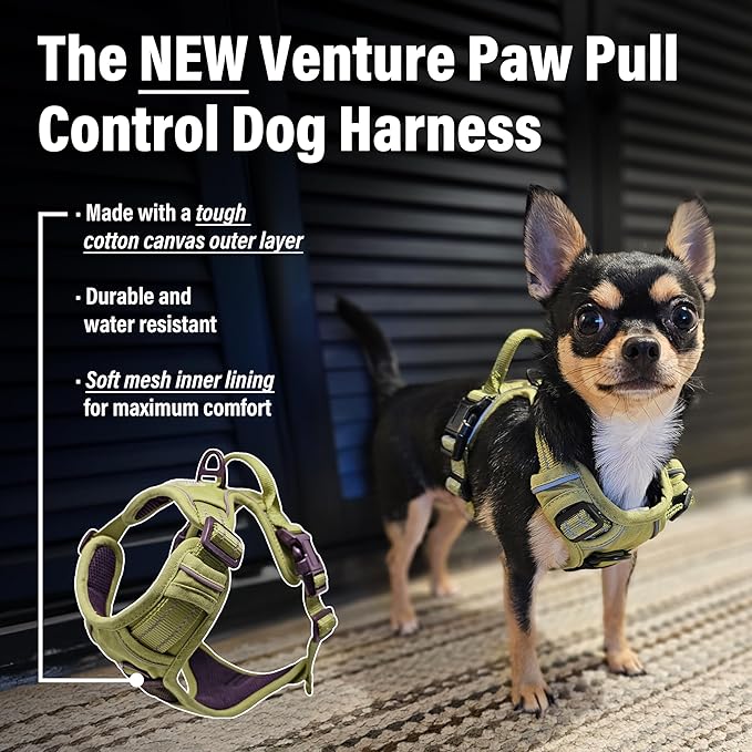 Doggie Design Venture Paw No Pull Dog Harness - Simple Adjustable Puppy Harness - Anti Pull Dog Collar for Walks and Outdoor Adventures - Aspen, XS