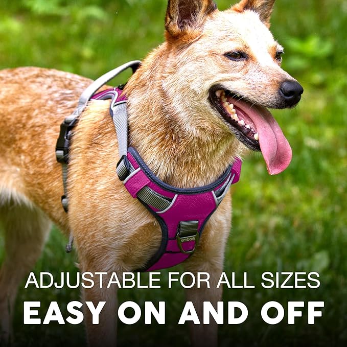 Embark Adventure Dog Harness, Reflective Trim No Pull Dog Harness Medium Sized Dogs - Military Grade Nylon, Front Clip with Gel Lined Handle.