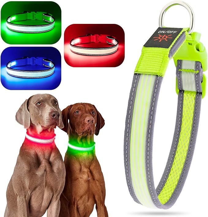 YFbrite Full Adjustbale LED Dog Collar, Full Illuminated Light up Dog Collars, Reflective Dog Collar Light Glowing in The Dark for All Dogs Safety (Medium, Green-2)