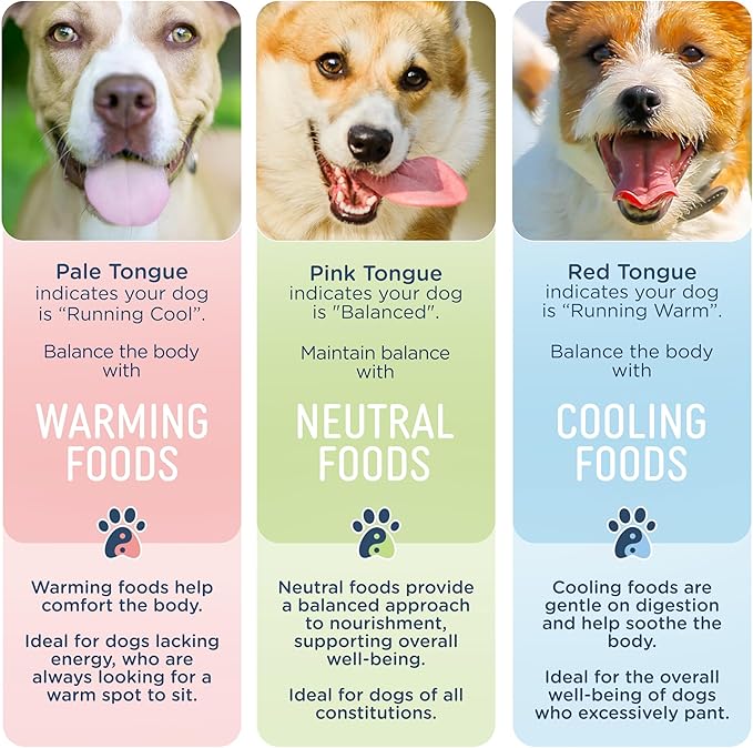 Side by Side Beef & Salmon Stew, Neutral Dog Food for All Breeds, Made of Whole Foods, Every Ingredient Has a Purpose, No Artificial Additives, Fillers, or Gums, Ready to Serve, 12.5 oz, 3 Pack