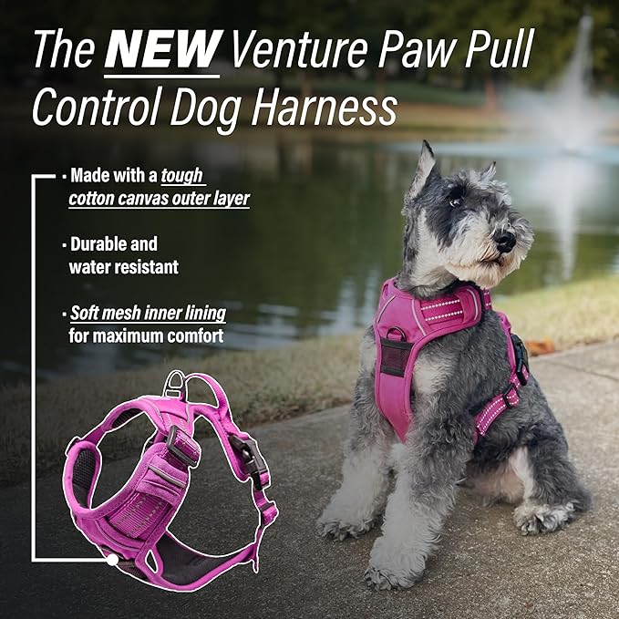 Doggie Design Venture Paw No Pull Dog Harness - Simple Adjustable Puppy Harness - Anti Pull Dog Collar for Walks and Outdoor Adventures - Wild Raspberry, M